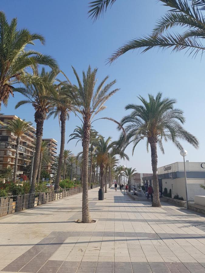 Exclusif Appartement En 1Er Ligne, Vue Imprenable, Piscine, Parking Prive A Playa Mucha Vista, Alicante El Campello Exteriér fotografie